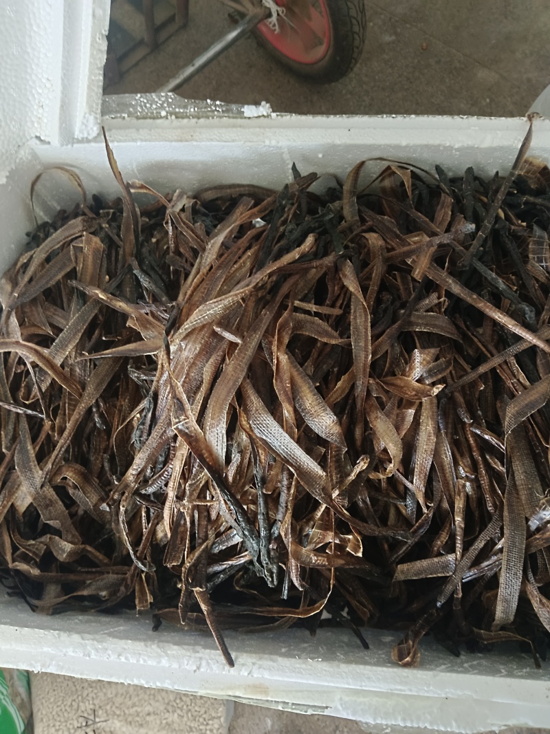 地龙，全开地龙，半开地龙，实拍，现货，24小时内发货