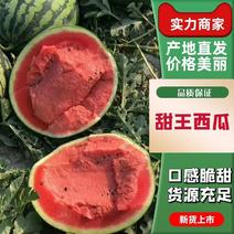 蒲城甜王西瓜已大量上市，个大皮薄，双红瓤，糖度高，