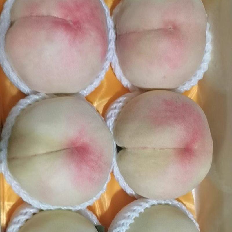 阳山水蜜桃量大质优价格优惠欢迎咨询采购一手货源