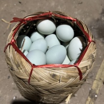 咸鸭蛋，五香鸭蛋，五香鹅蛋，盒装，竹楼装！！！