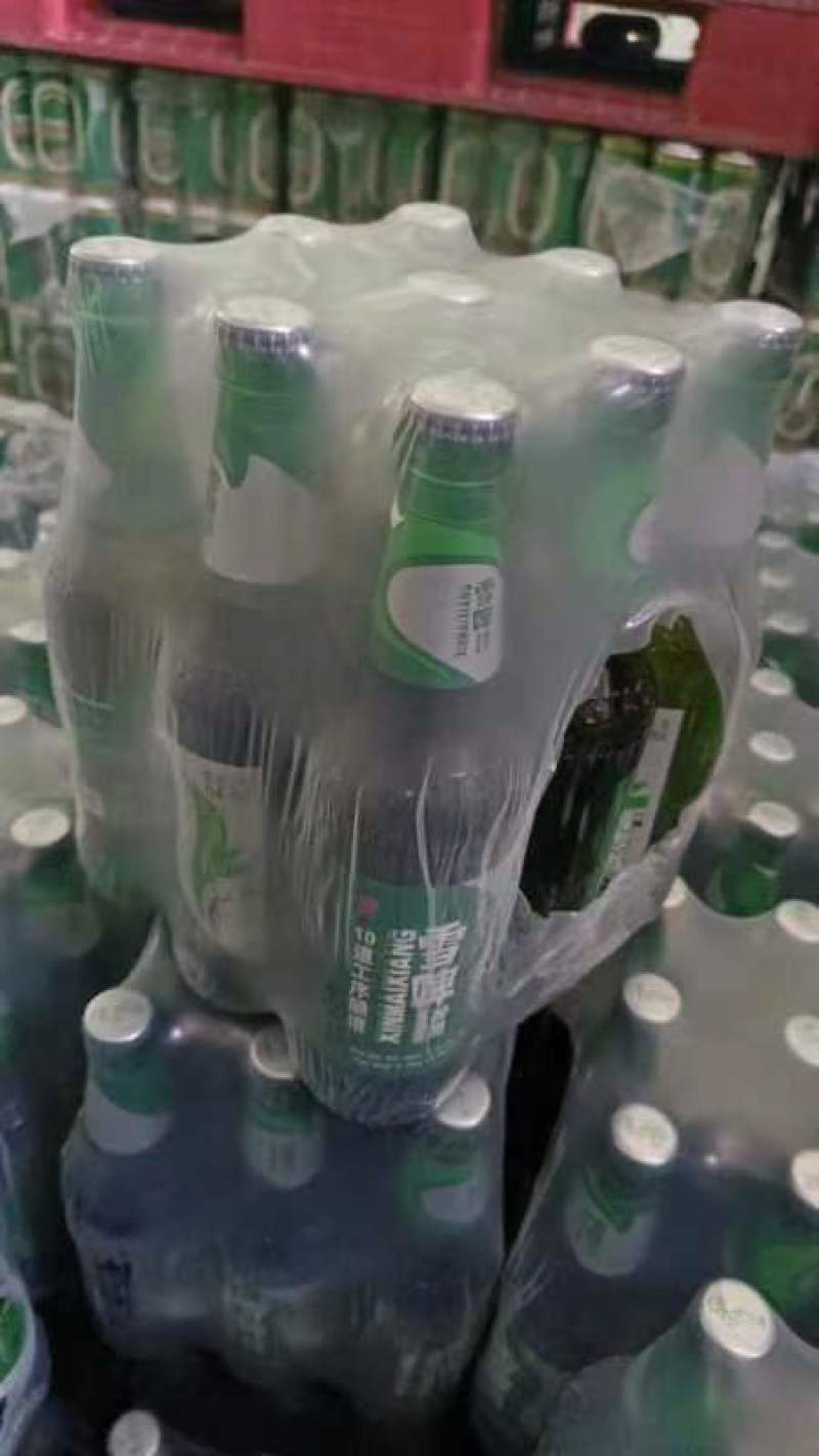 500毫升罐啤酒纯生啤酒特质啤酒小麦王啤酒