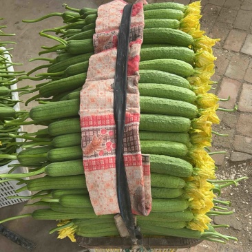 丝瓜，鲜花丝瓜