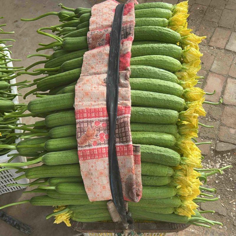 丝瓜，鲜花丝瓜