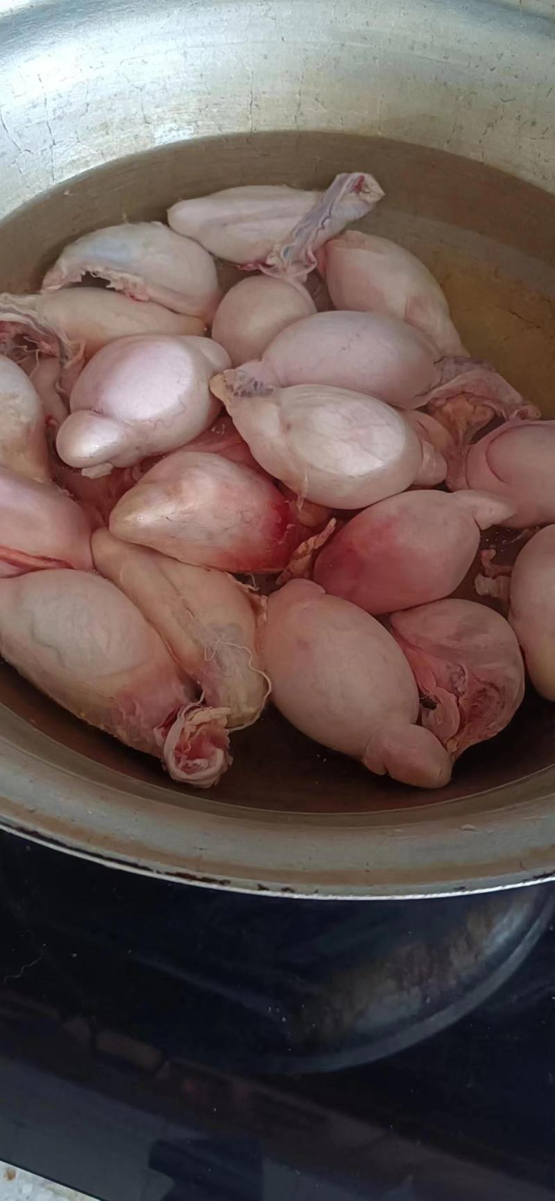 正宗牧区羊羔蛋