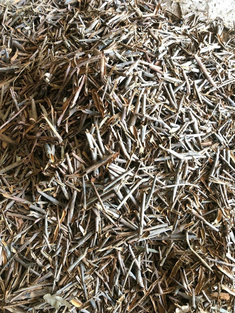 干桂皮大货出售欢迎老板们打扰
