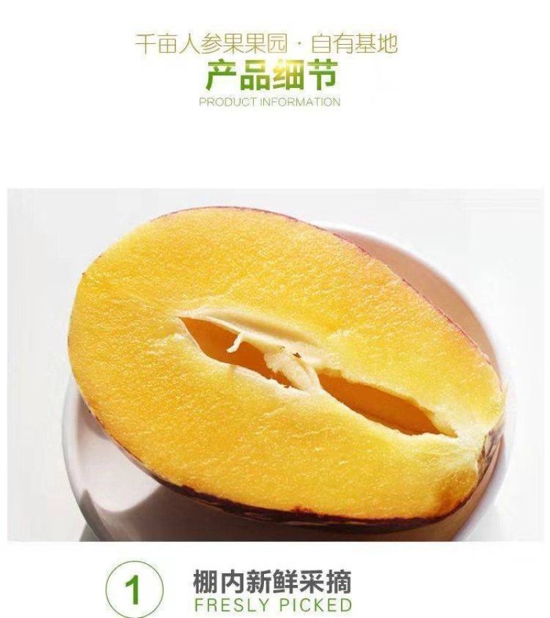 民勤人参果