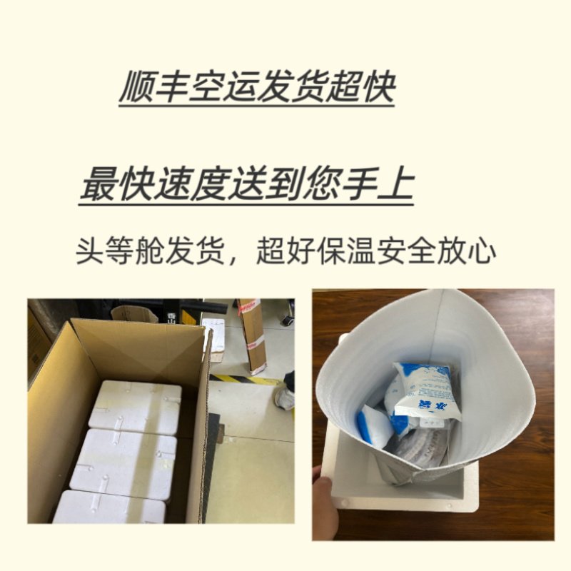中药材眼镜蛇干一整条可泡蛇酒药用蛇新货场地直发