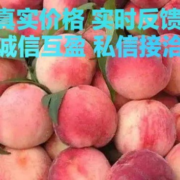 诚信第一信誉至上！需要私信联系！