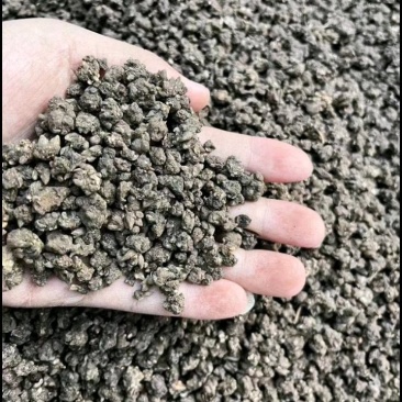 猫爪草之乡，新品上市，假一赔十，量大优惠