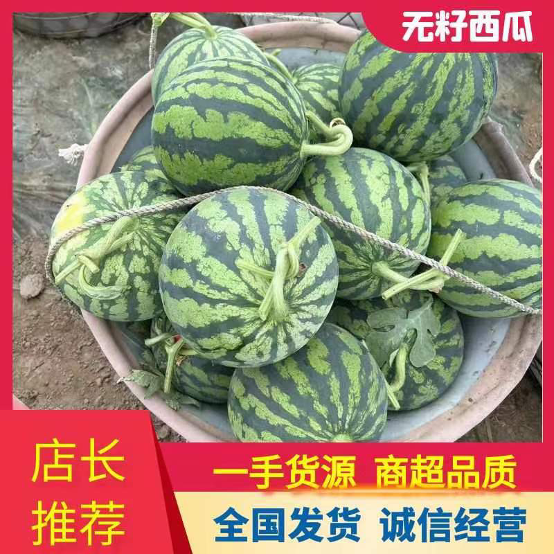 [美都西瓜批发]江苏盐城东台市西瓜 2.00元/斤江苏盐城美都西 _ 一亩田