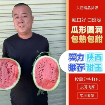 陕西蒲城优质甜王西瓜瓜圆皮薄瓤口好无生瓜实地看货!