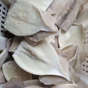 单冻鱿鱼片，保质保量，货源稳定，基地直发下单可发货