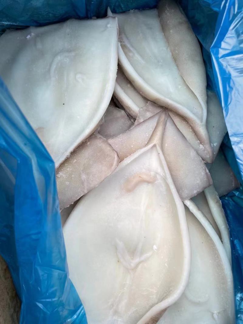 单冻鱿鱼片，保质保量，货源稳定，基地直发下单可发货