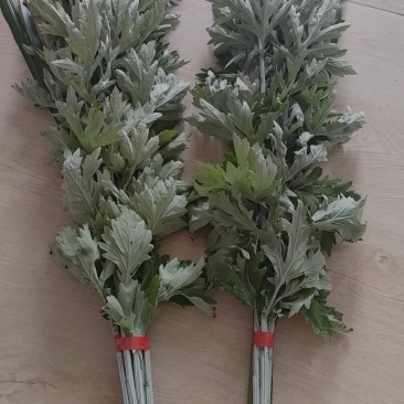 新鲜艾草菖蒲货源稳定，供货充足，欢迎全国采购商咨询