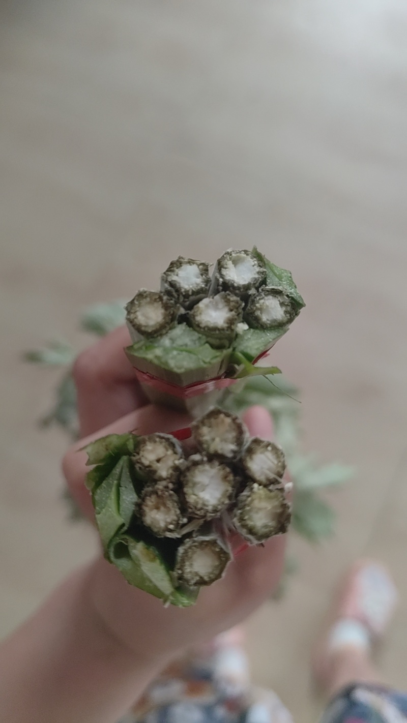 新鲜艾草菖蒲货源稳定，供货充足，欢迎全国采购商咨询