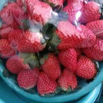 夏草莓上市了