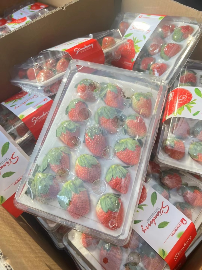 夏草莓上市了