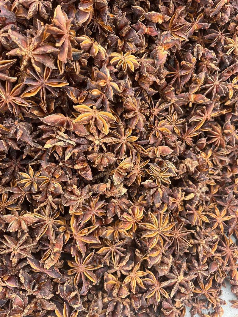 香料产地直供广西大红春花八角，足干无硫，去把春花八角精品