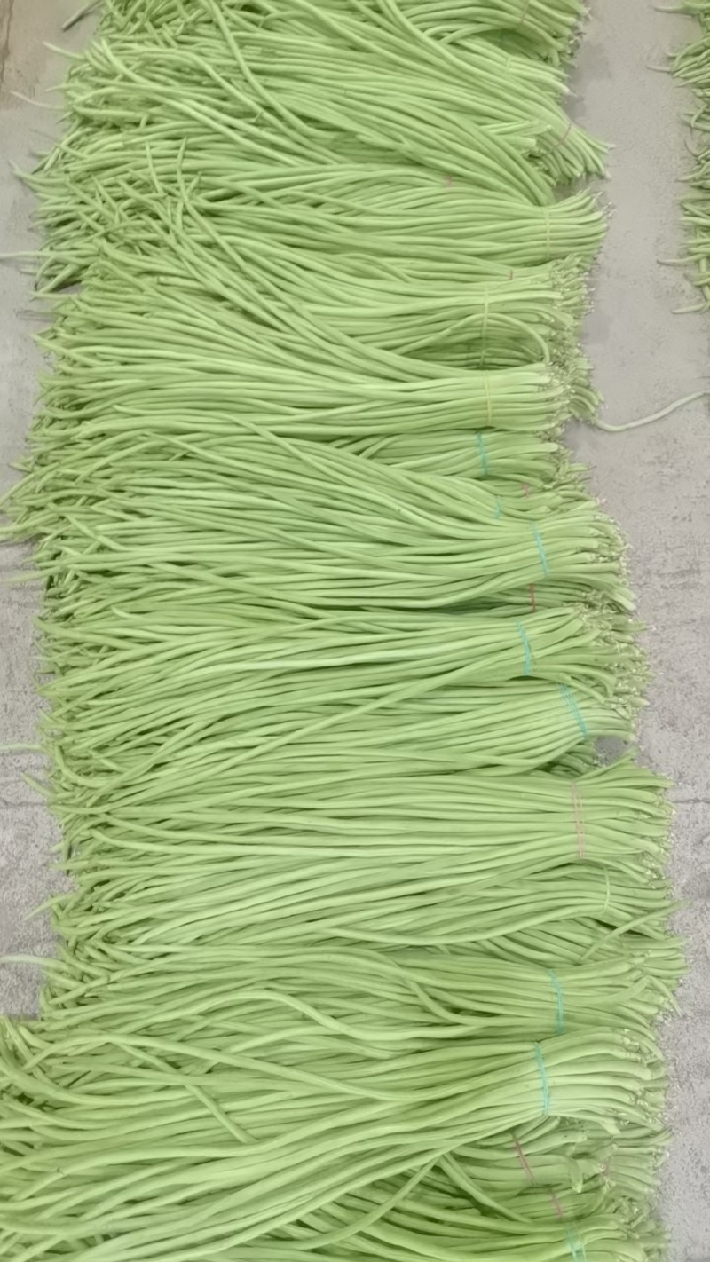 云南保山精品豇豆对接全国量大从优价格美丽质量好欢迎采购