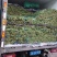 云南保山精品豇豆对接全国量大从优价格美丽质量好欢迎采购