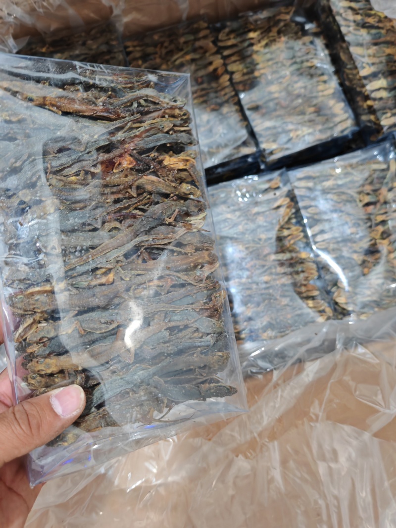 开膛天龙，守宫，爬上虎，壁虎，天龙200克一盒