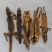 开膛天龙，守宫，爬上虎，壁虎，天龙200克一盒