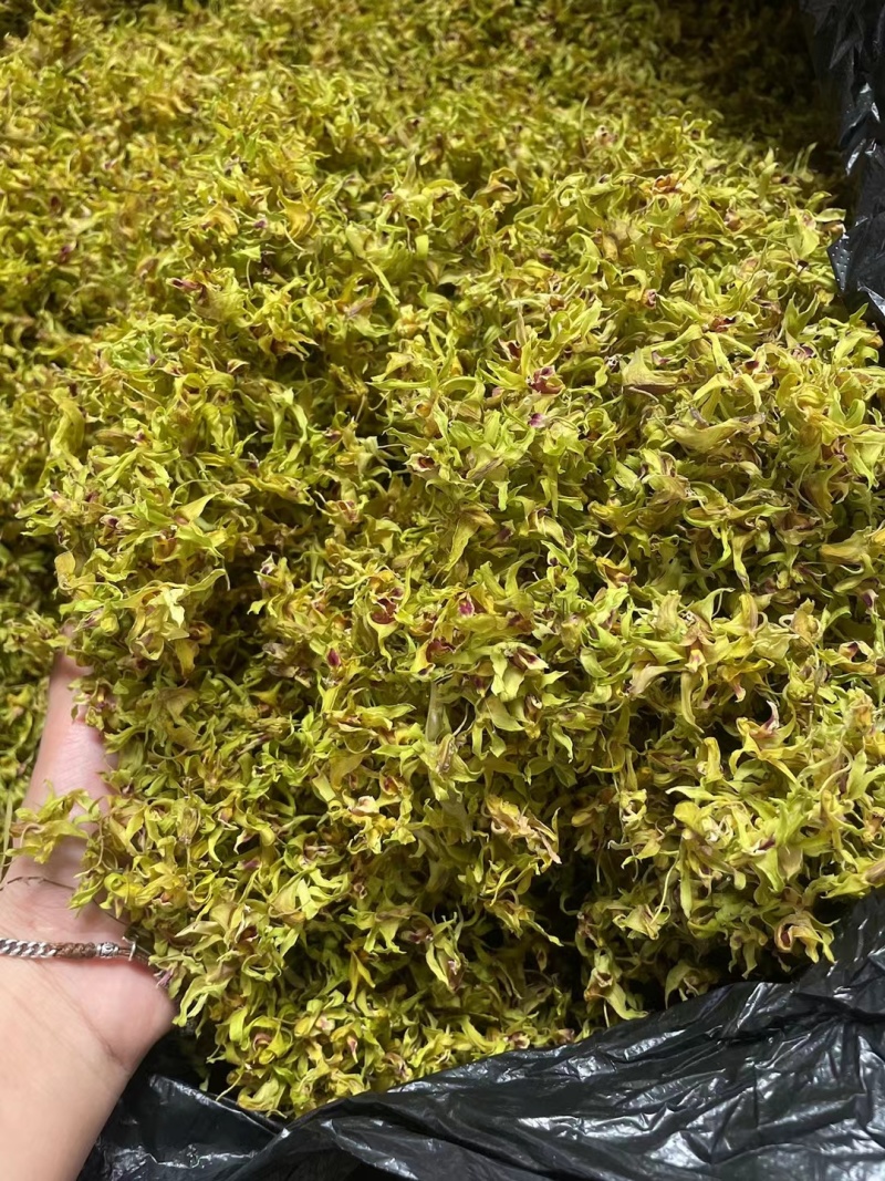 铁皮石斛花，基地直发！！质量保证！一手货源