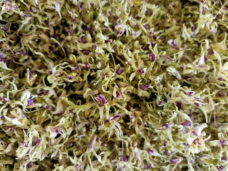 铁皮石斛花，基地直发！！质量保证！一手货源