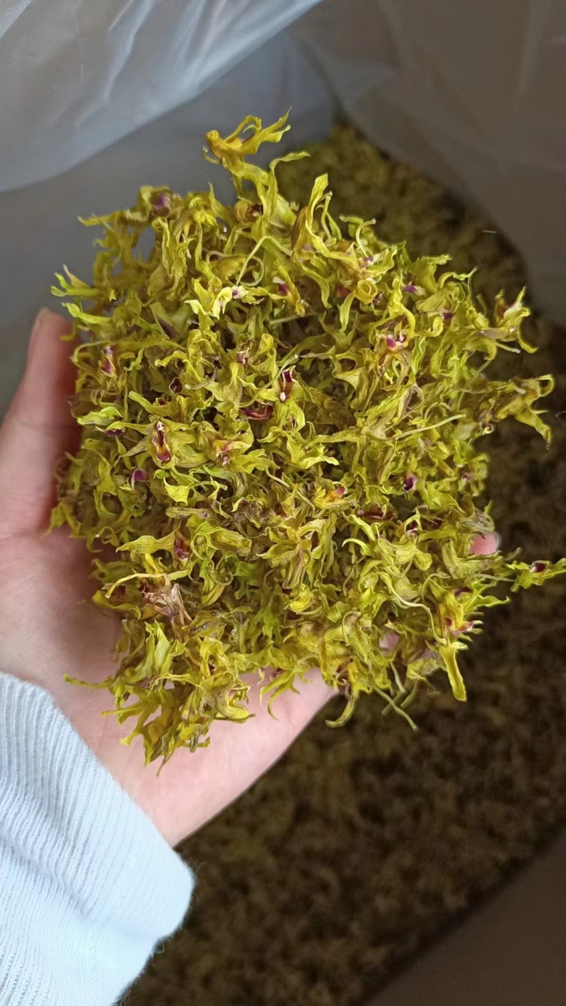 铁皮石斛花，基地直发！！质量保证！一手货源