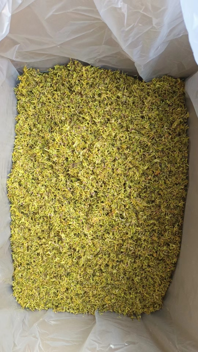 铁皮石斛花，基地直发！！质量保证！一手货源