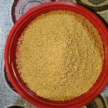 孝义自家种小米无添加绿色健康品质优良可煮出米油