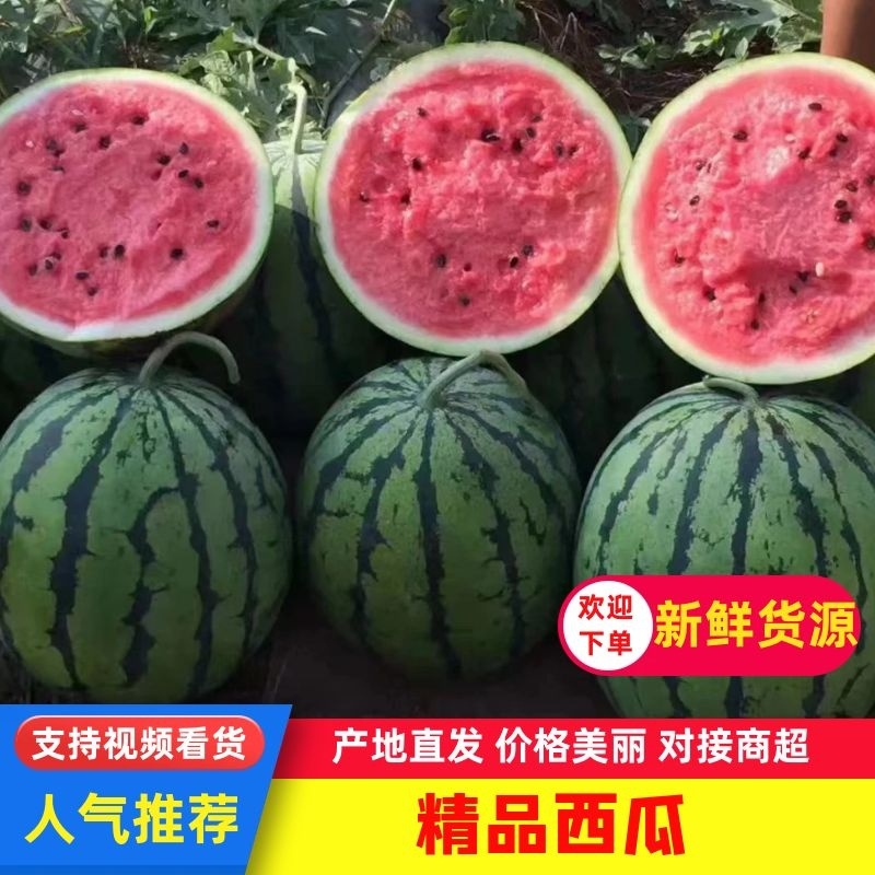 甜王西瓜，山东费县大量上市欢迎电话联系洽谈业务