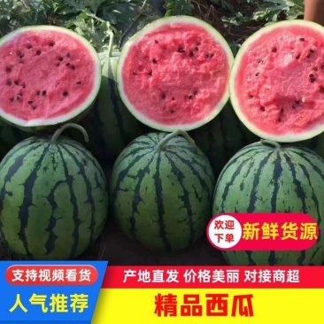 甜王西瓜，山东费县大量上市欢迎电话联系洽谈业务