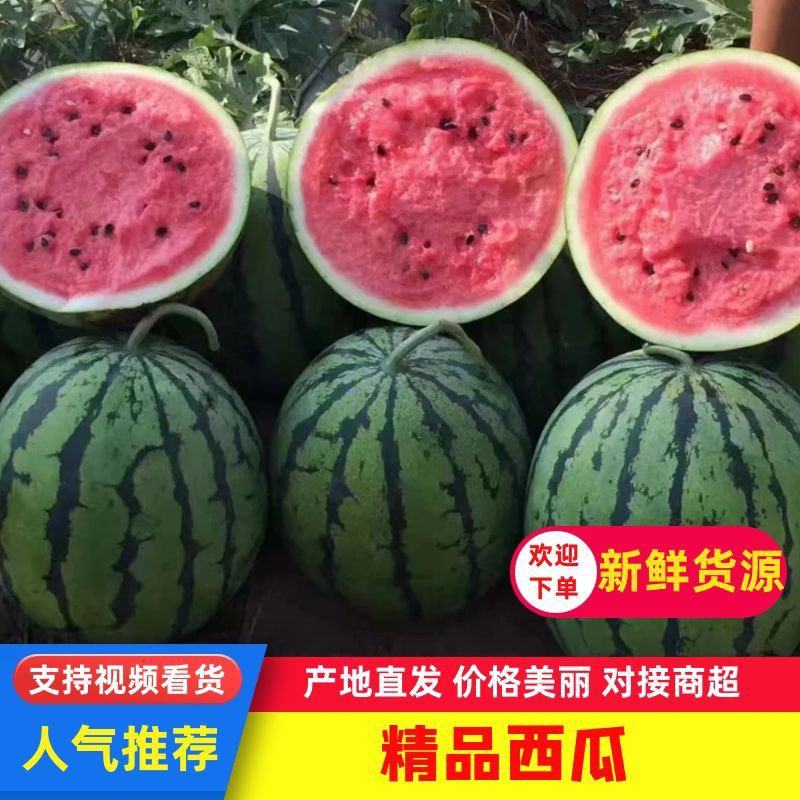 甜王西瓜，山东费县大量上市欢迎电话联系洽谈业务