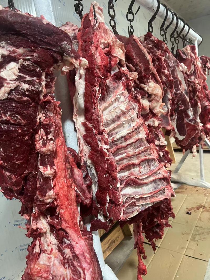 批发鲜牛肉，支持全国鲜发，纯干不打水，清真黄牛肉