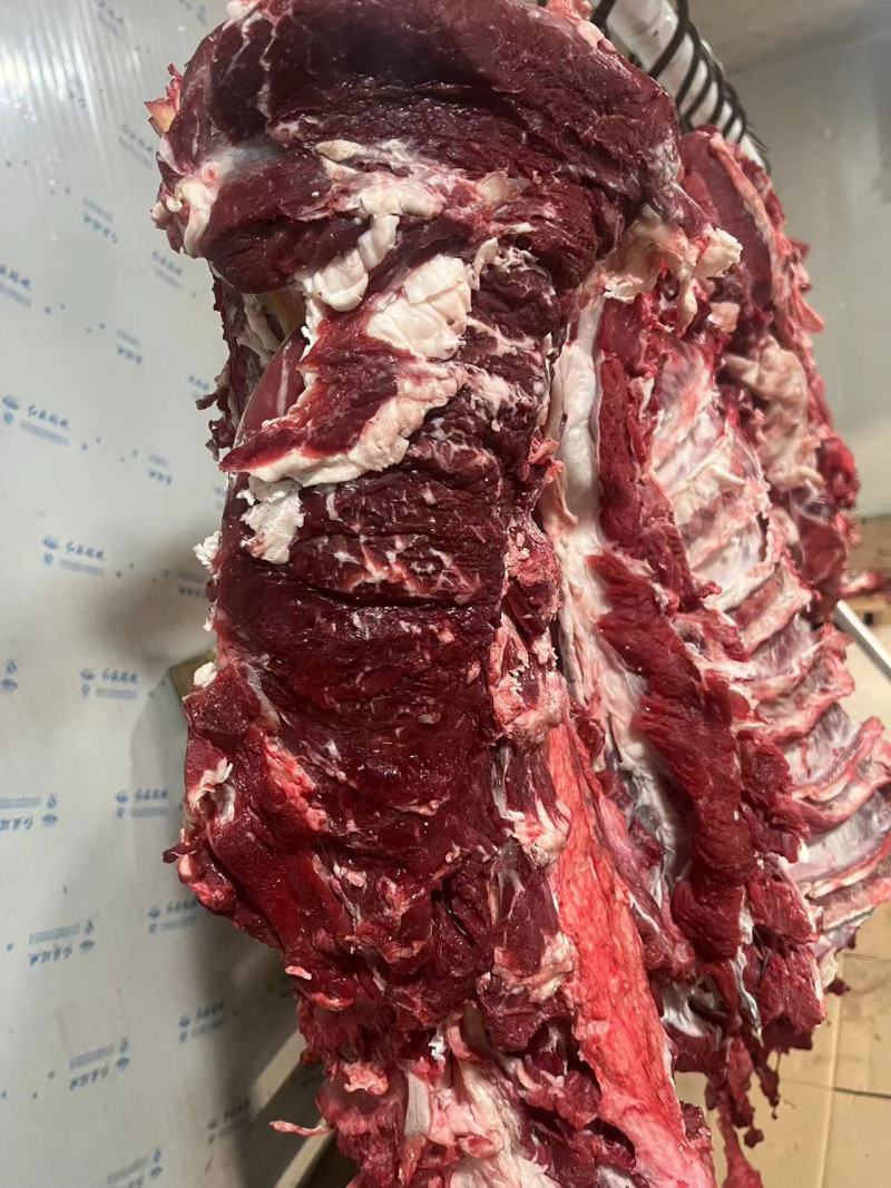 批发鲜牛肉，支持全国鲜发，纯干不打水，清真黄牛肉