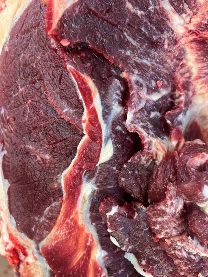 批发鲜牛肉，支持全国鲜发，纯干不打水，清真黄牛肉