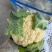 河南菜花有机松花菜小米粒乳白货源充足代收代发全国发货