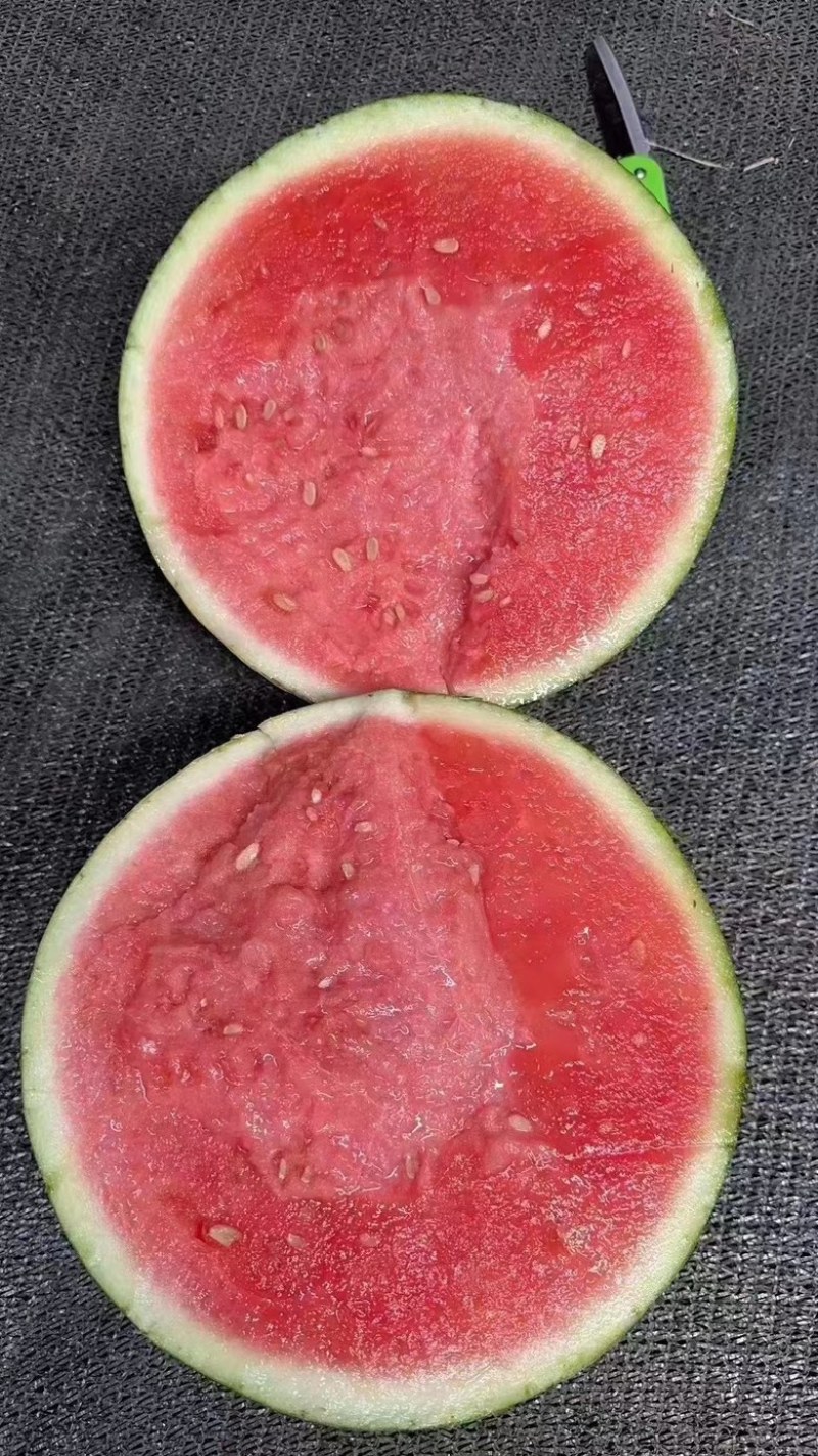 美都西瓜麒麟西瓜，皮毛漂亮，皮薄肉脆甜、大量有货！