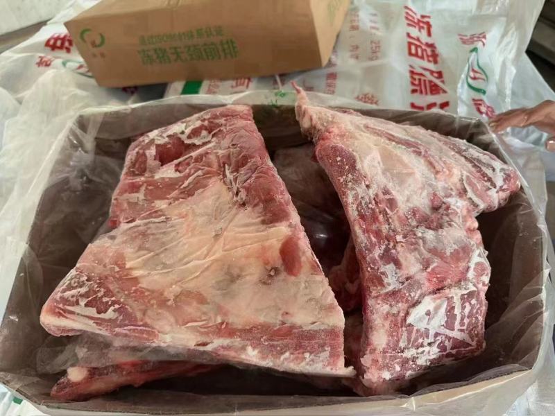 母猪去颈前排