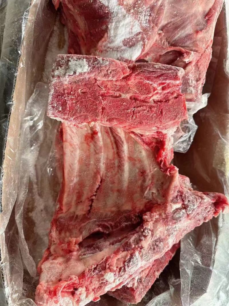 母猪去颈前排