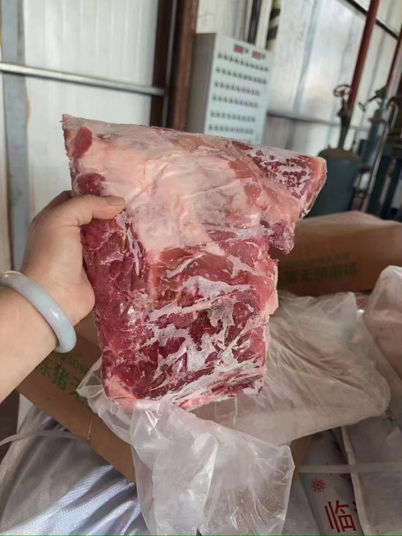母猪去颈前排