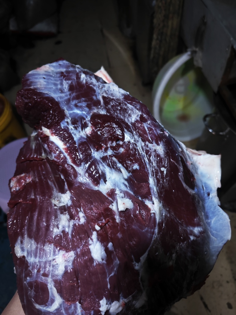贵州鲜牛肉工厂直发量大从优品质靠谱欢迎电联
