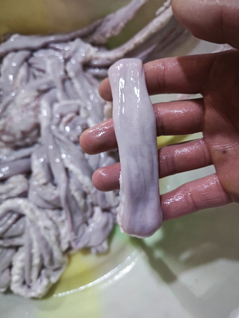 牛肠无油量大从优需要的可电联