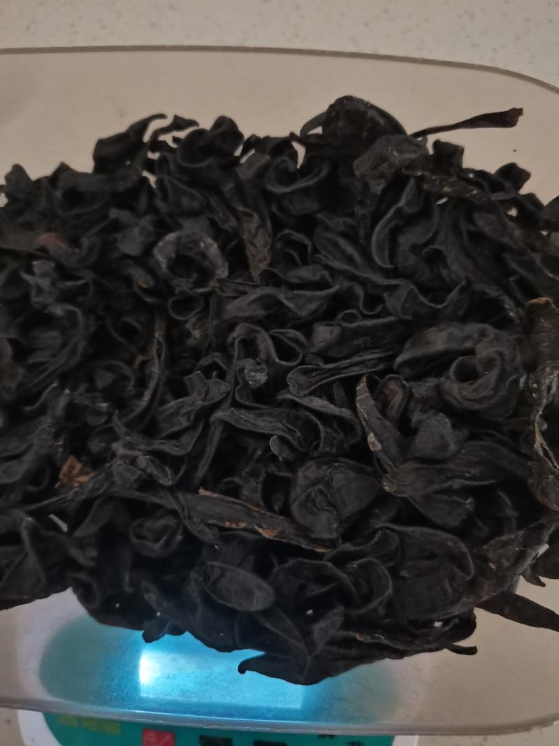 水蛭，清水东北水蛭，大个体，含量高，数量有限，