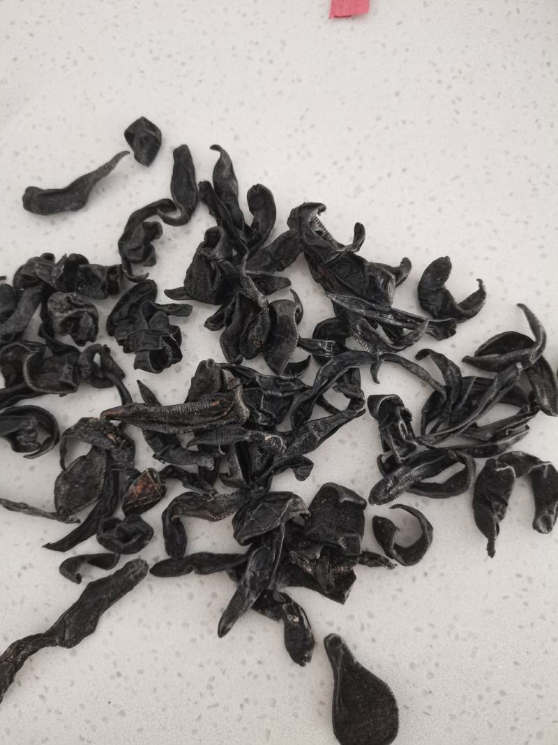 水蛭，清水东北水蛭，大个体，含量高，数量有限，