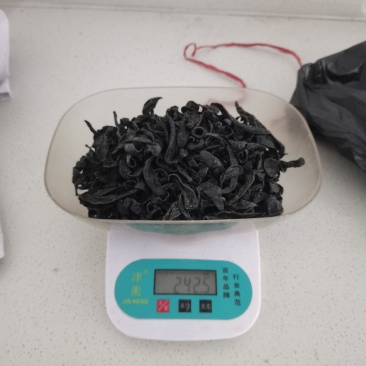 水蛭，清水东北水蛭，大个体，含量高，数量有限，