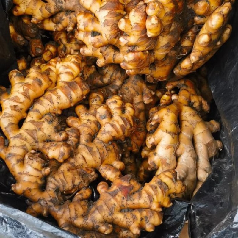 贵州冷库货大量供应