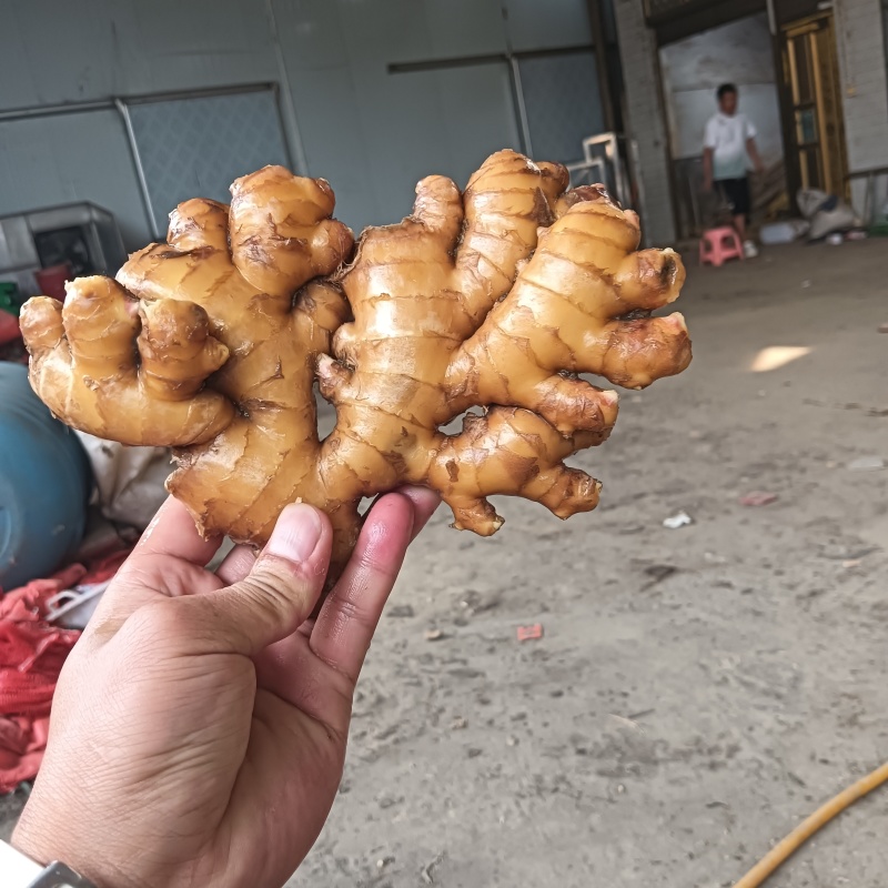 贵州冷库货大量供应
