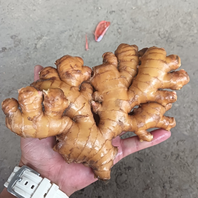 贵州冷库货大量供应